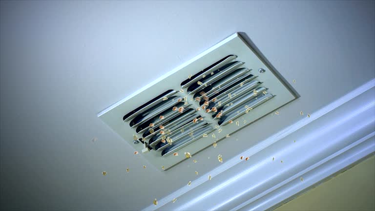 Best Best Air Duct Cleaning Company  in Jacksonville, AL